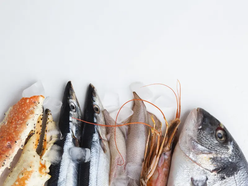 Seafood Import & Logistics Experts in Dubai